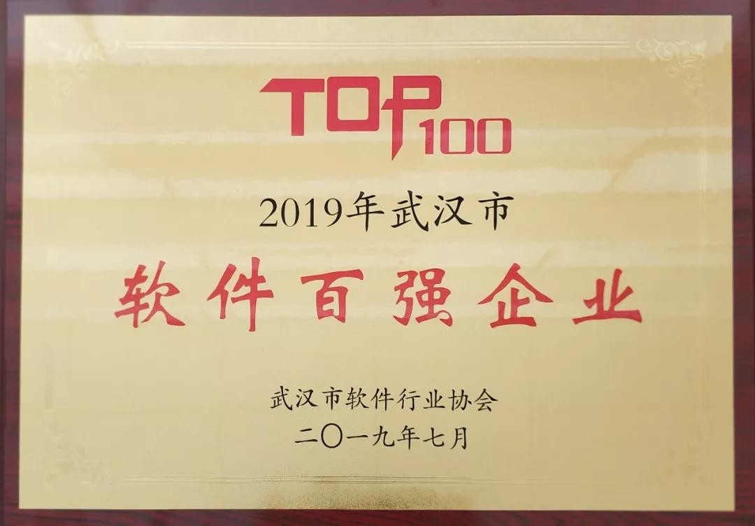 XPJ官网动力荣获2019年武汉市软件百强企业榜单第一名
