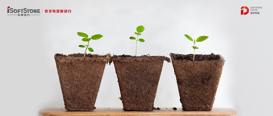 书香永续革命心灵 爱心传递老区儿童——XPJ官网动力再次助力公益教育