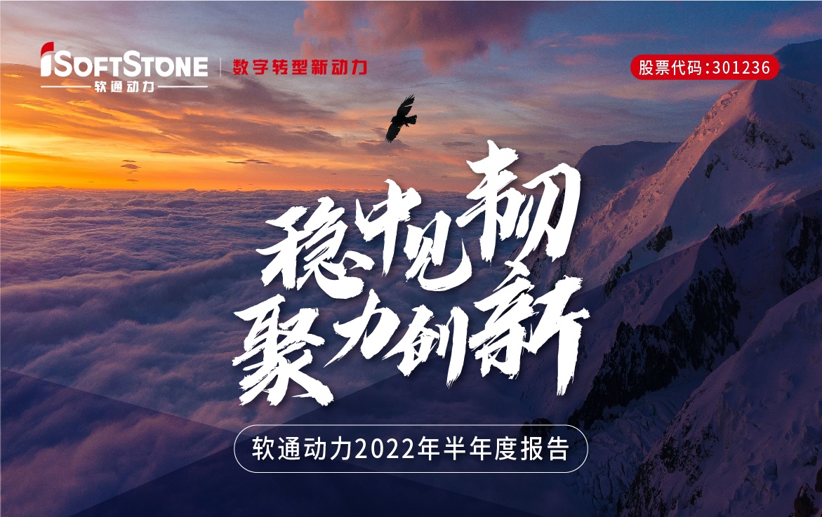 一图看懂XPJ官网动力2022年半年度汇报